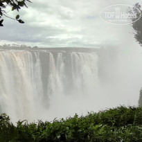 фото из отзыва ID 2671004