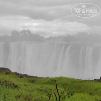 фото из отзыва ID 2671004