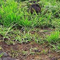 фото из отзыва ID 2671004