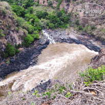 фото из отзыва ID 2671004