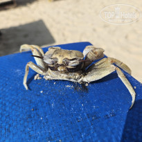 фото из отзыва ID 2671033