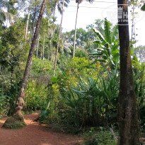 фото из отзыва ID 2670541