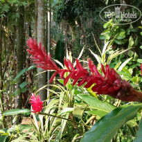 фото из отзыва ID 2670541