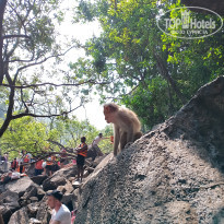 фото из отзыва ID 2670541