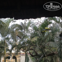 фото из отзыва ID 2670541