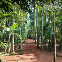 фото из отзыва ID 2670541