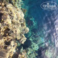 фото из отзыва ID 2671065