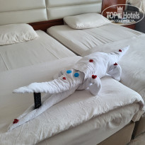 фото из отзыва ID 2671065