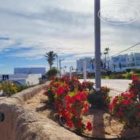 фото из отзыва ID 2671065