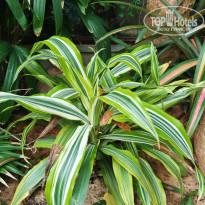 фото из отзыва ID 2671091