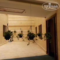 фото из отзыва ID 2671194