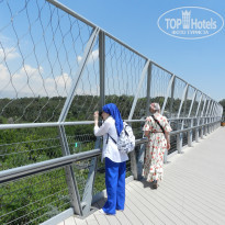 фото из отзыва ID 2671194