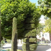 фото из отзыва ID 2671194