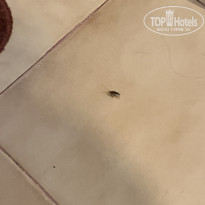 фото из отзыва ID 2671215