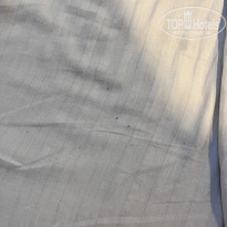 фото из отзыва ID 2671215