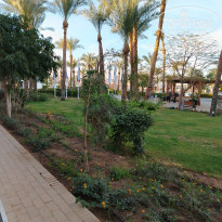 фото из отзыва ID 2671268