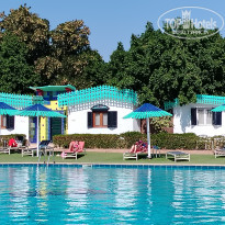 фото из отзыва ID 2671268