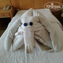 фото из отзыва ID 2671268