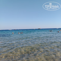 фото из отзыва ID 2671268