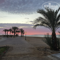 фото из отзыва ID 2671305