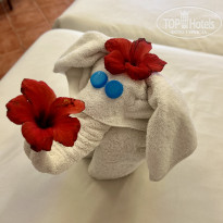 фото из отзыва ID 2670548