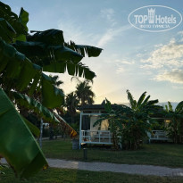 фото из отзыва ID 2671470