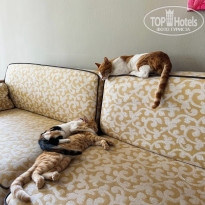 фото из отзыва ID 2671470