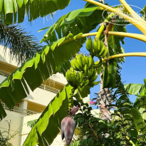 фото из отзыва ID 2671470