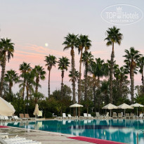 фото из отзыва ID 2671470