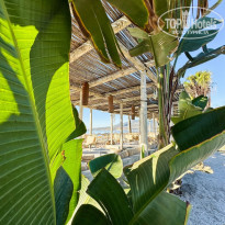 фото из отзыва ID 2671470