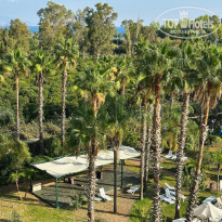 фото из отзыва ID 2671470