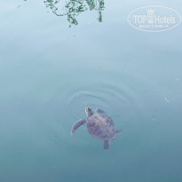 фото из отзыва ID 2671470