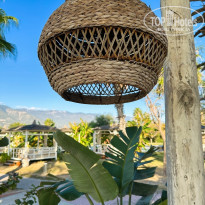 фото из отзыва ID 2671470