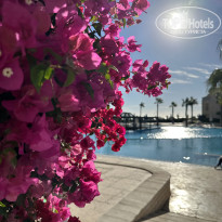 фото из отзыва ID 2671521