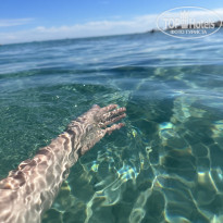 фото из отзыва ID 2671521