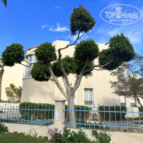 фото из отзыва ID 2671521