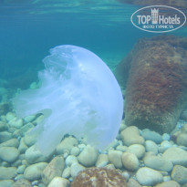 фото из отзыва ID 2671547