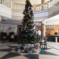 фото из отзыва ID 2671564