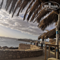 фото из отзыва ID 2671564