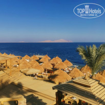 фото из отзыва ID 2671663