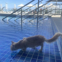 фото из отзыва ID 2671772