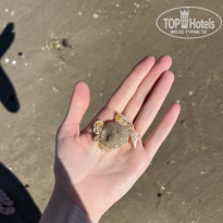 фото из отзыва ID 2671772