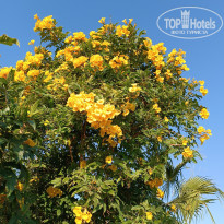 фото из отзыва ID 2671782