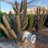 фото из отзыва ID 2671782