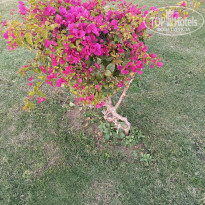 фото из отзыва ID 2671782