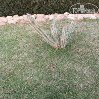 фото из отзыва ID 2671782