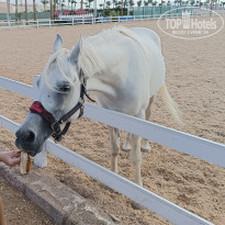 фото из отзыва ID 2671782