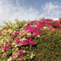 фото из отзыва ID 2671782