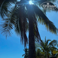 фото из отзыва ID 2671688