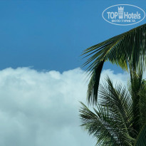 фото из отзыва ID 2671688